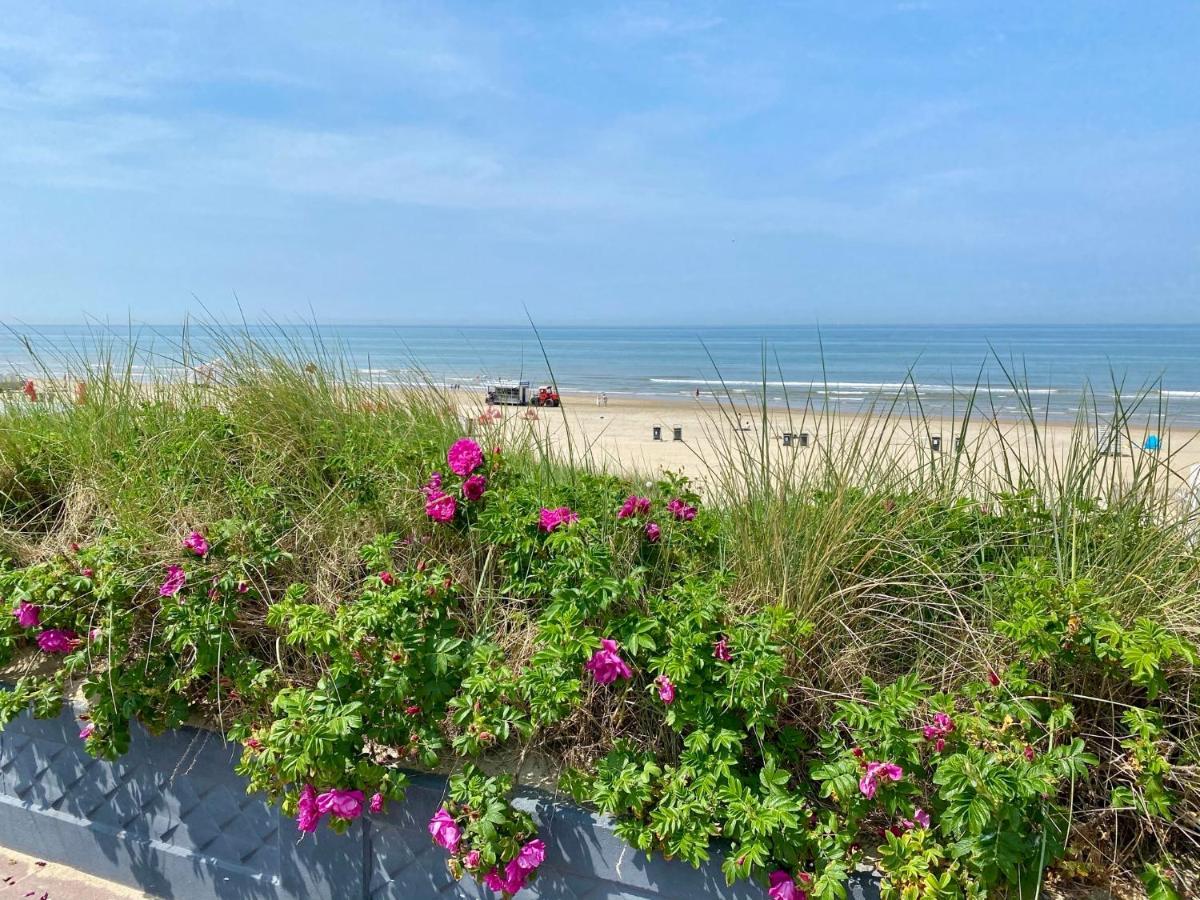 Apartament @54 Zandvoort Zewnętrze zdjęcie